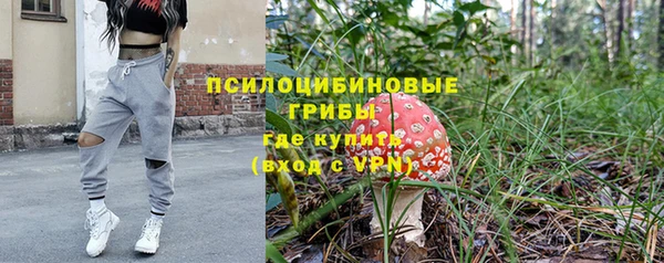 гашик Ельня