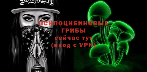 хмурый Елабуга