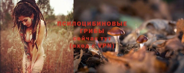 apvp Елизово