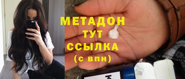 гашик Ельня