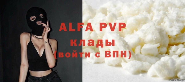 гашик Ельня