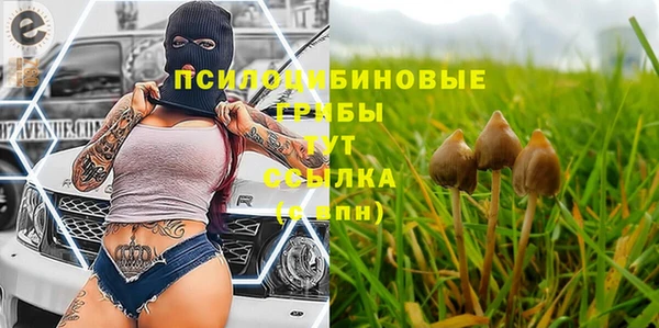 меф Дмитров
