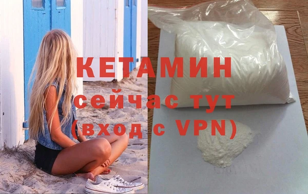 гашик Ельня