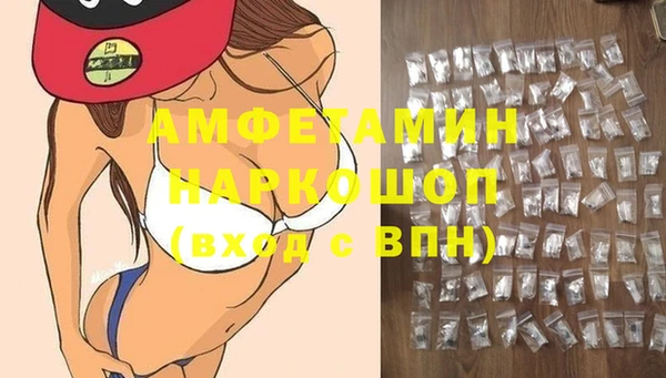 гашик Ельня