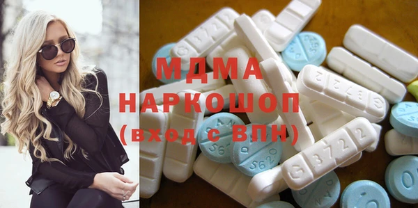 гашик Ельня