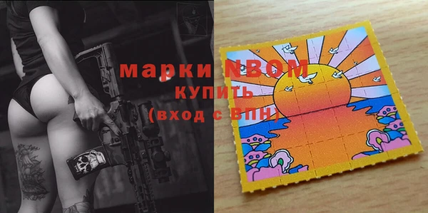 гашик Ельня