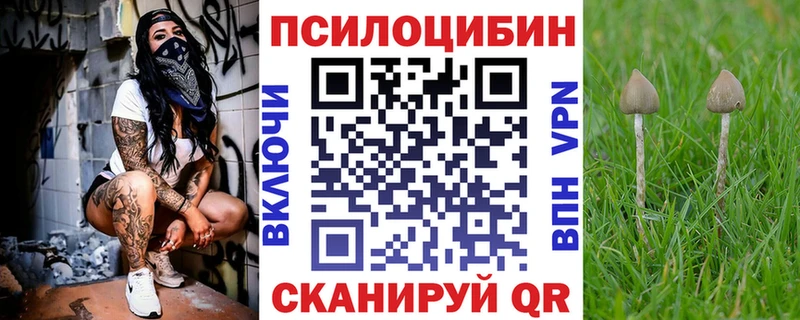 Галлюциногенные грибы GOLDEN TEACHER  Лахденпохья 